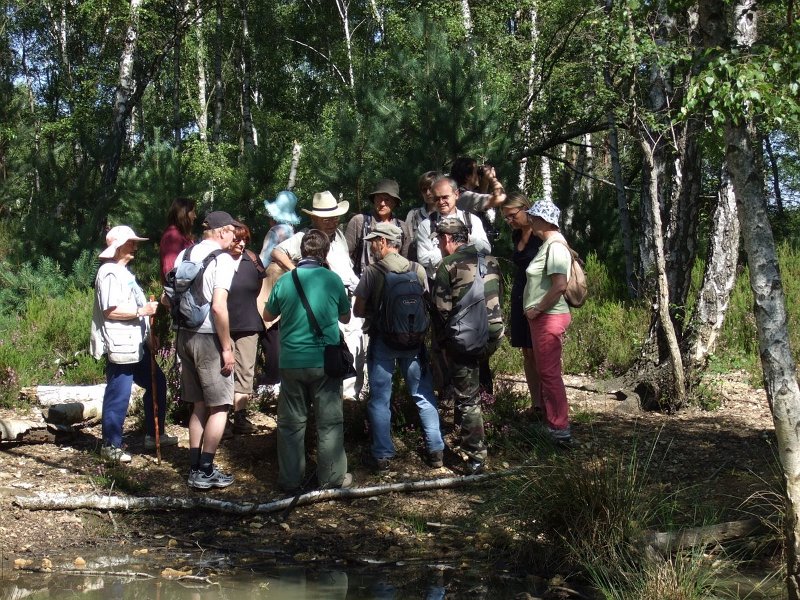 Bois d Rochefort 023